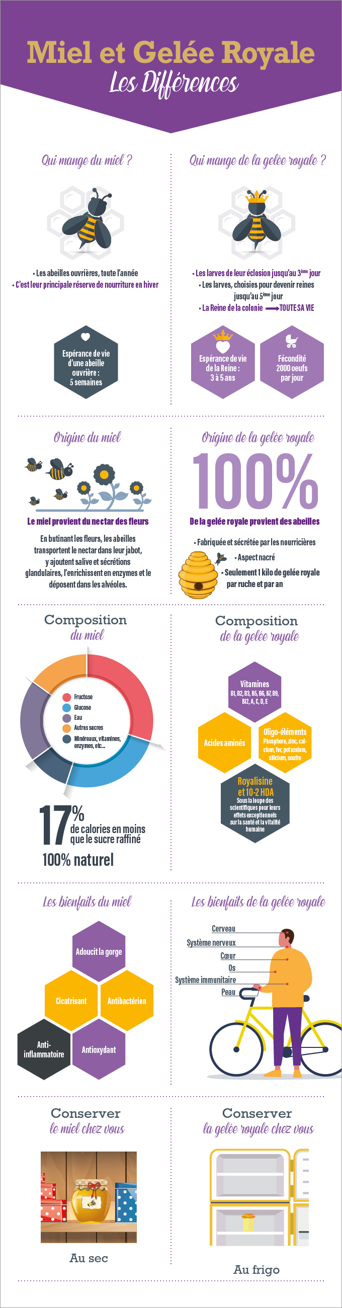 Infographie miel et gelée royale