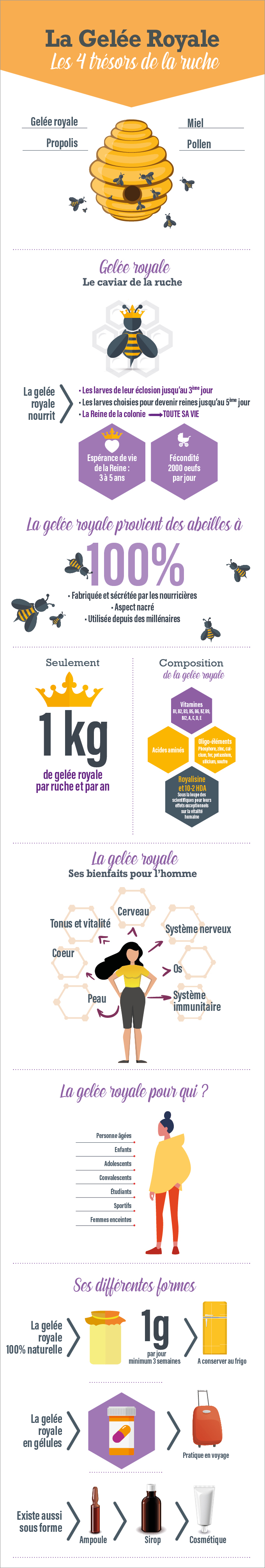 Infographie bienfaits de la gelée royale