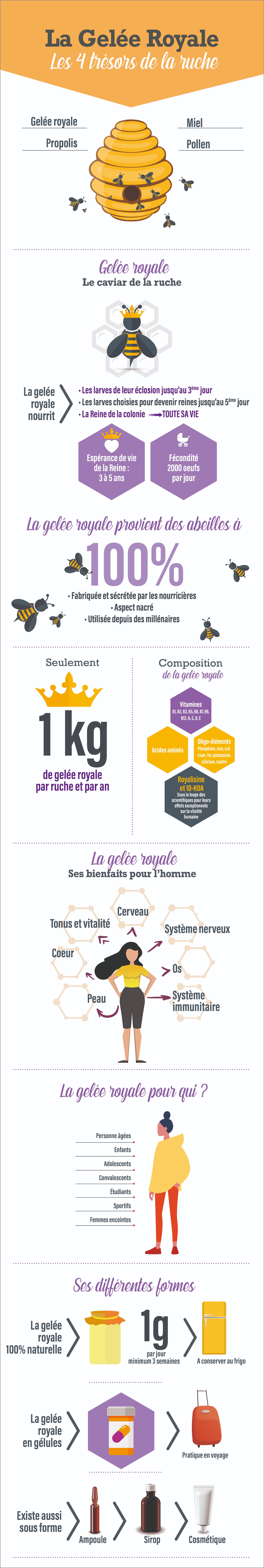 infographie gelée royale