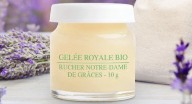 Gelée Royale bio du Rucher en Provence