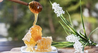 Bienfaits de la propolis