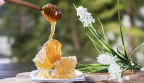 Bienfaits de la propolis vue liste
