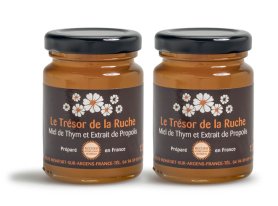 tresor-de-la-ruche-lot-2