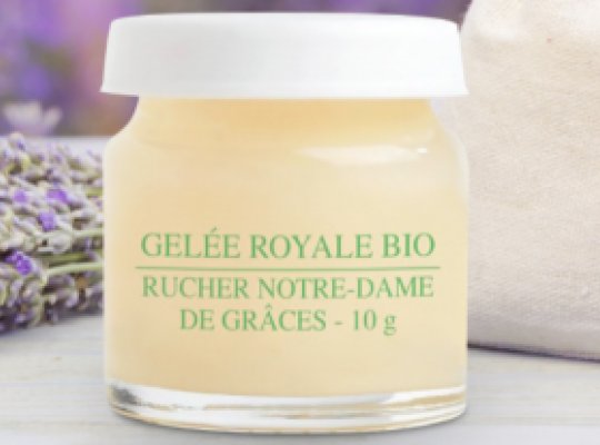 Gelée Royale bio du Rucher en Provence