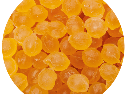 CA21 Pastilles Miel et Propolis