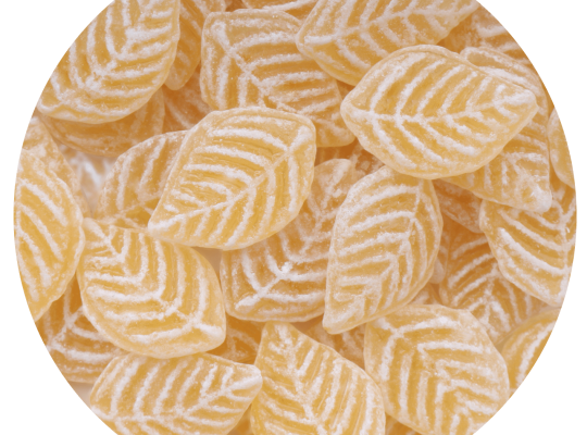 CA42 Pastilles Sommeil