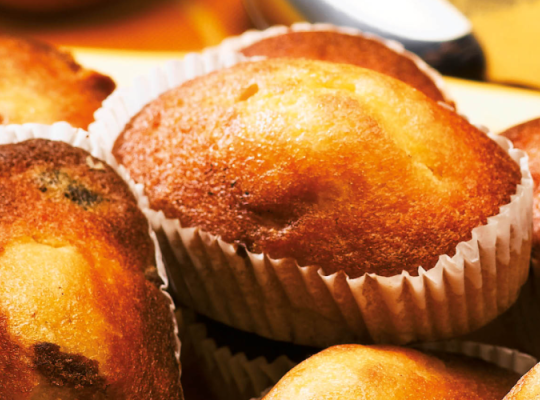 cakes aux fruits