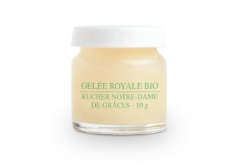 Gelée Royale pot de 10g, Le Rucher Notre dame en Provence